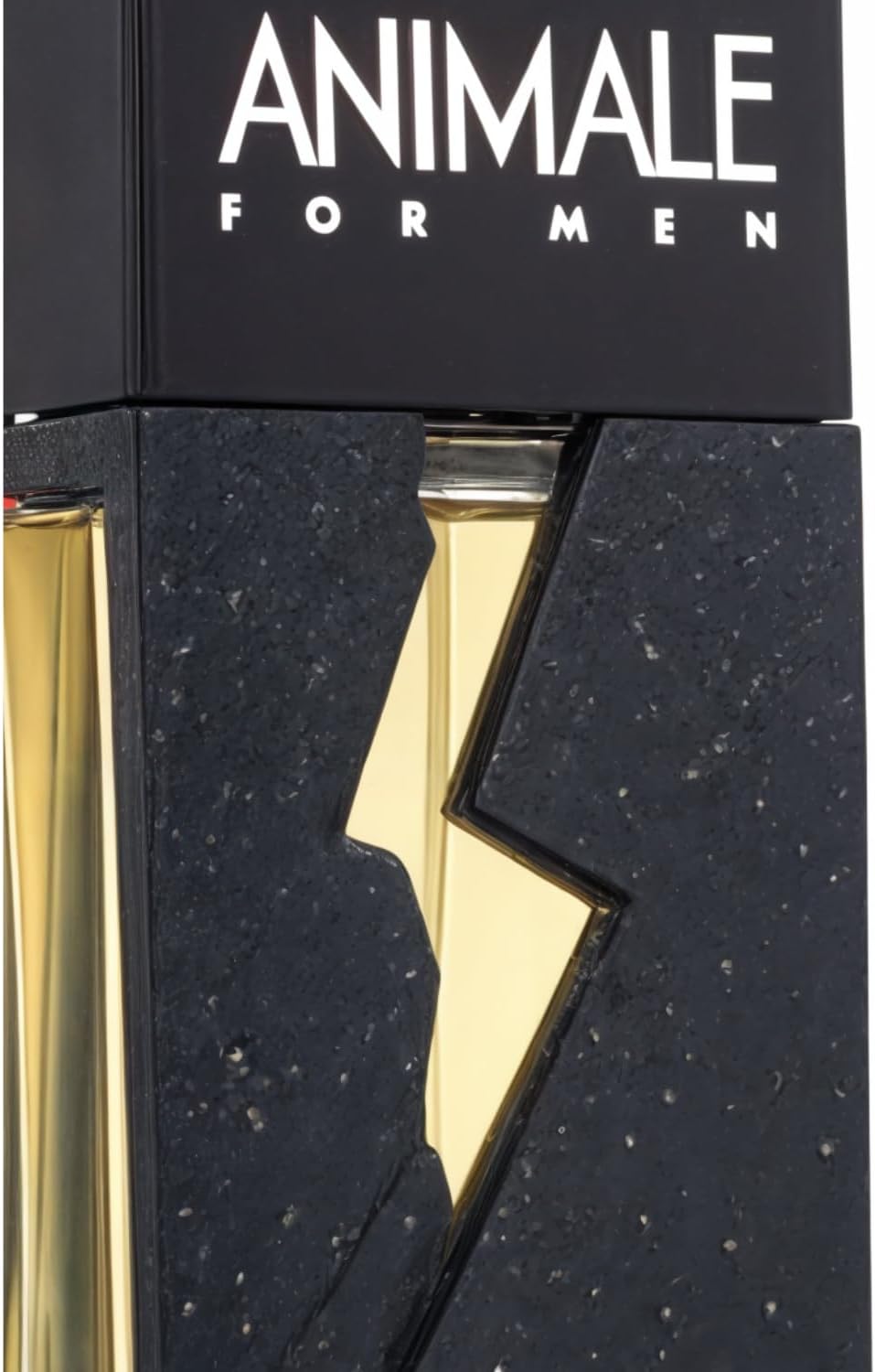 Animale For Men Perfume Masculino - Eau de Toilette 200ml - Imagem 4