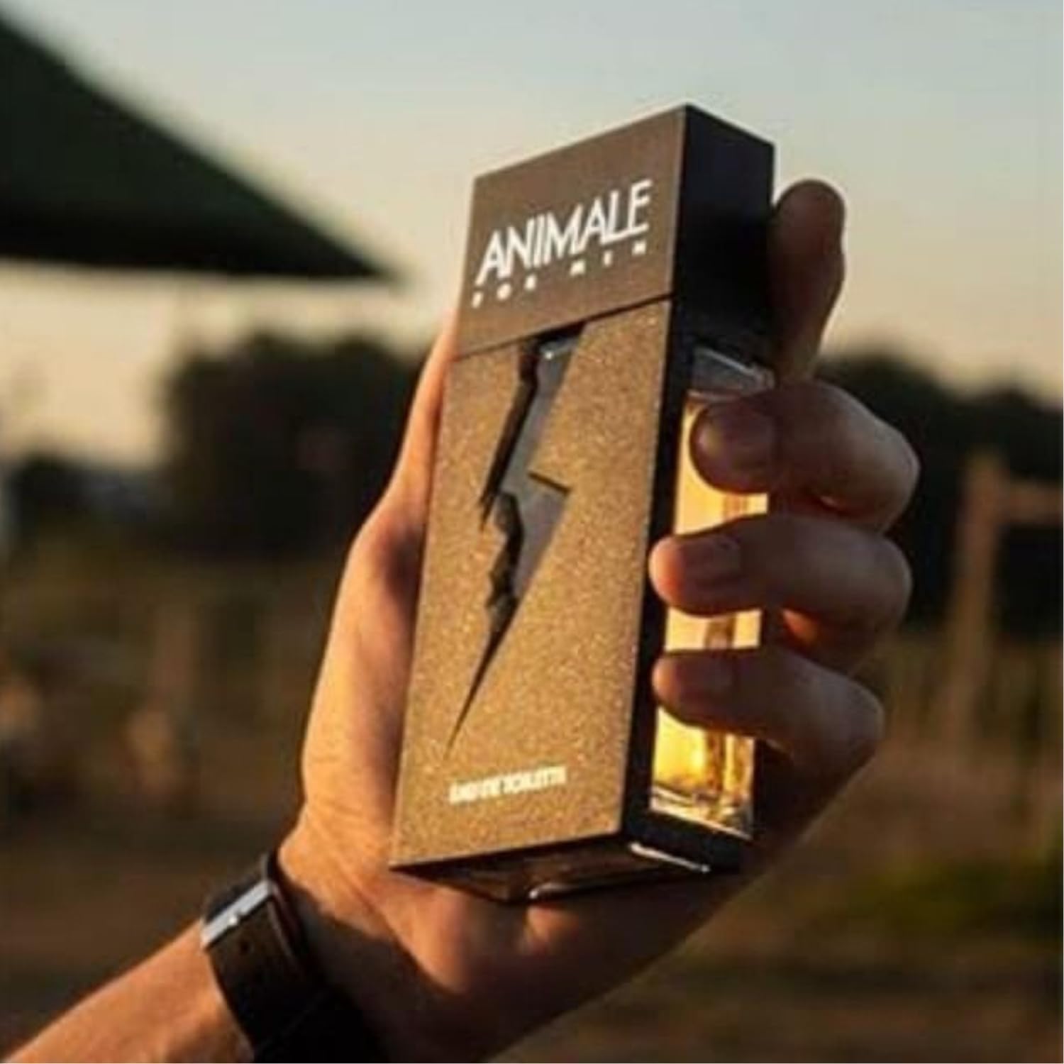 Animale For Men Perfume Masculino - Eau de Toilette 200ml - Imagem 7
