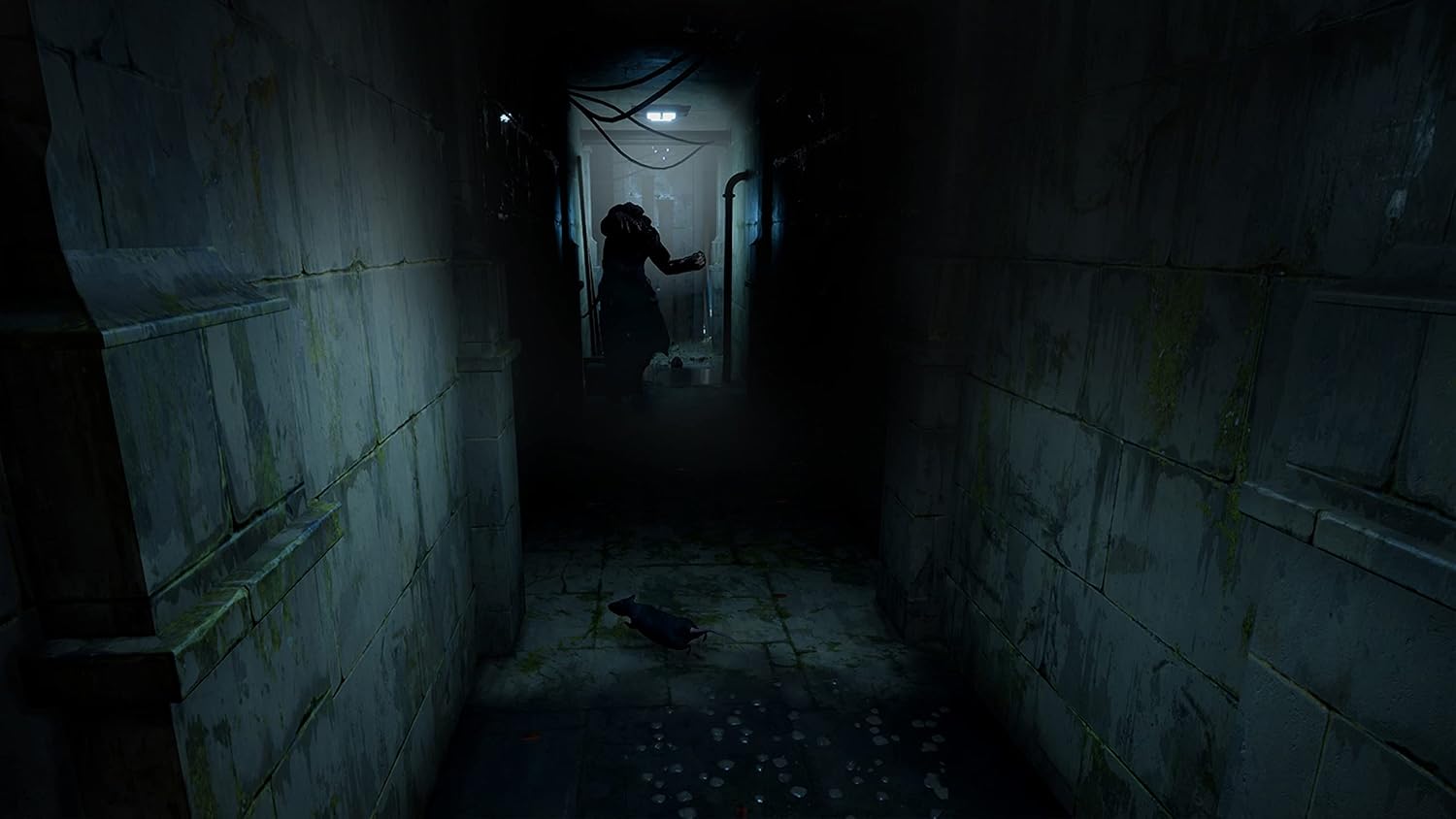 Limited Run Contos de Terror: O Vinho - Nintendo Switch - Imagem 5