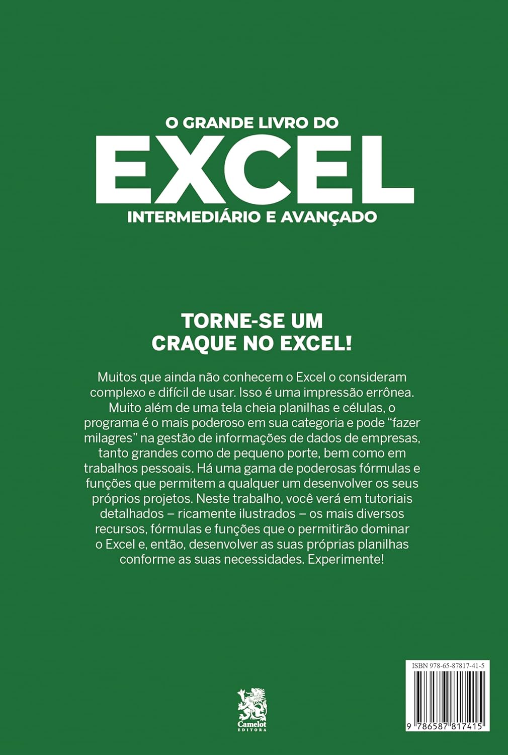 O Grande Livro do Excel - Intermediário e Avançado - Imagem 3