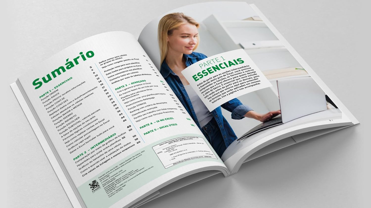 O Grande Livro do Excel - Intermediário e Avançado - Imagem 5