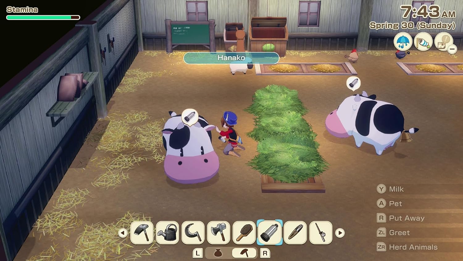 STORY OF SEASONS GRAND BAZAAR | PREMIUM EDITION NSW 2 - Imagem 9