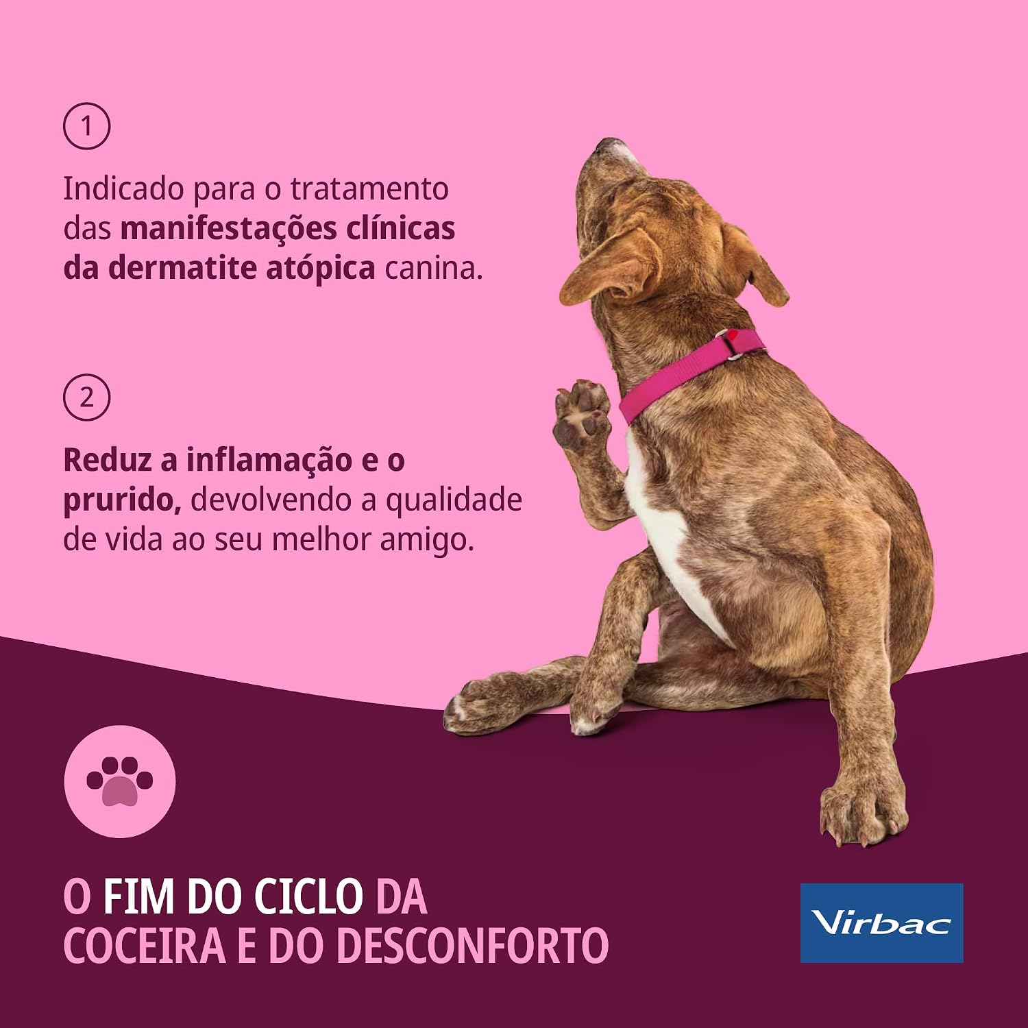 Virbac Cyclavance Tratamento de Dermatites Atópicas para Cães 50 mL - Imagem 7