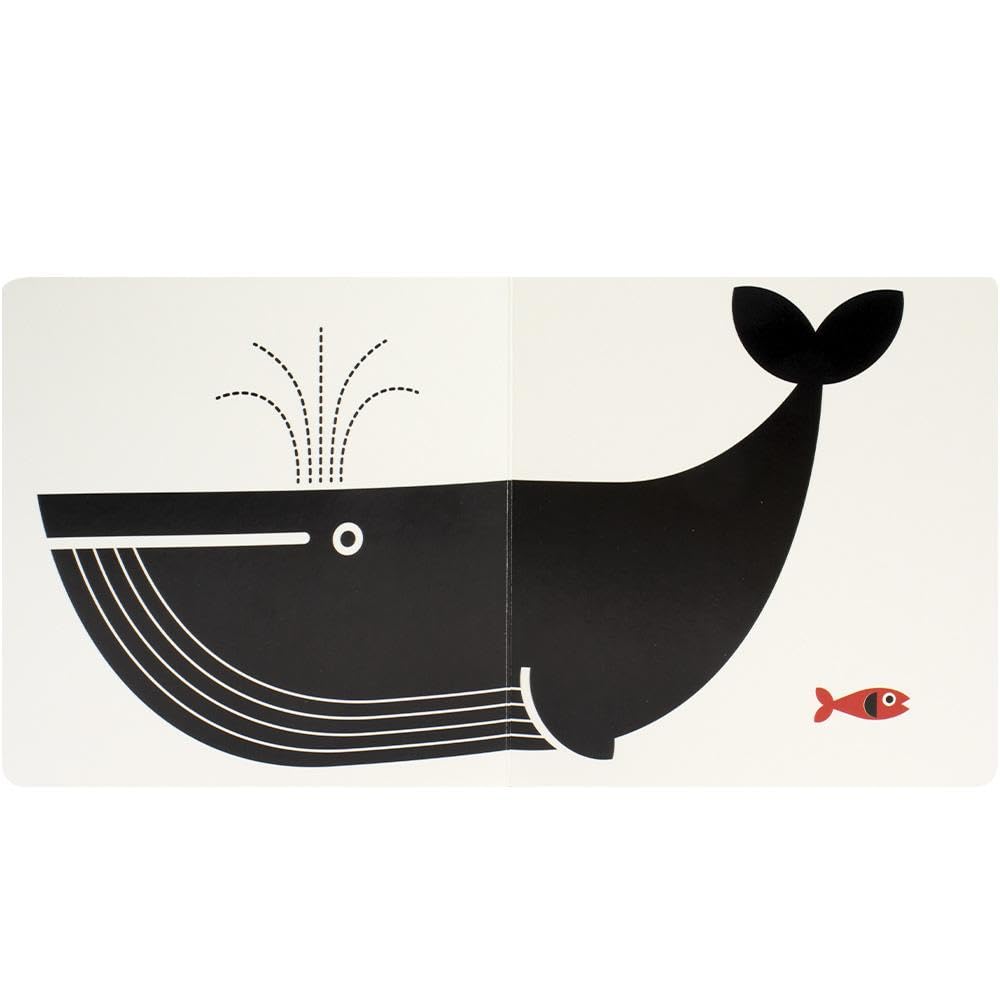 Escolinha Baby Montessori - Contrastes! Grande ou Pequeno? - Imagem 4