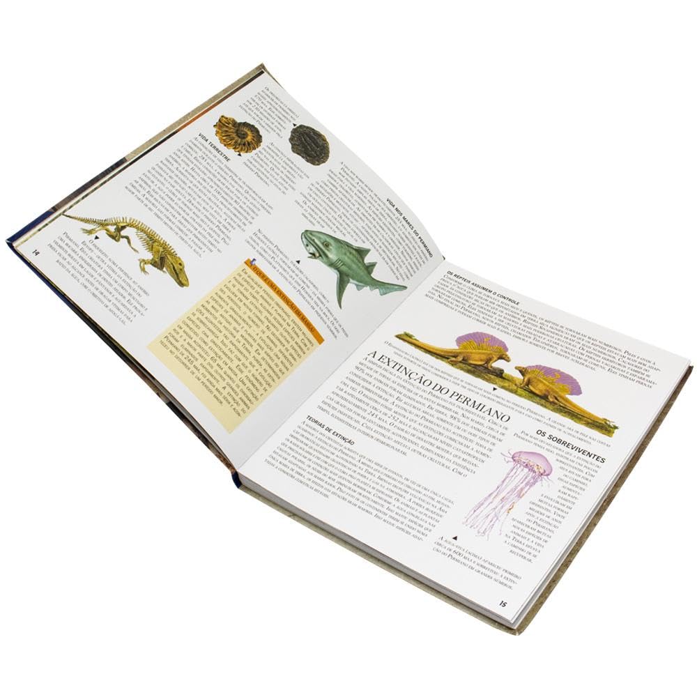 Incríveis Dinossauros - Imagem 4