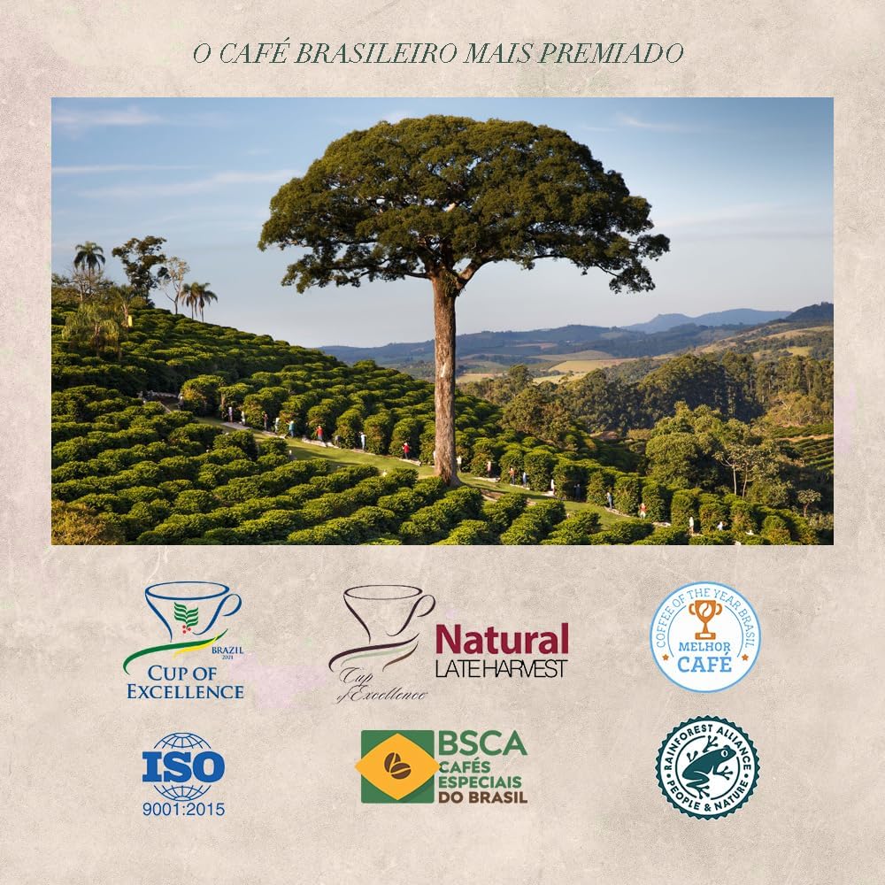 Orfeu Café Clássico em Grãos, 100% Arabica, Torra Média, 1kg - Imagem 9