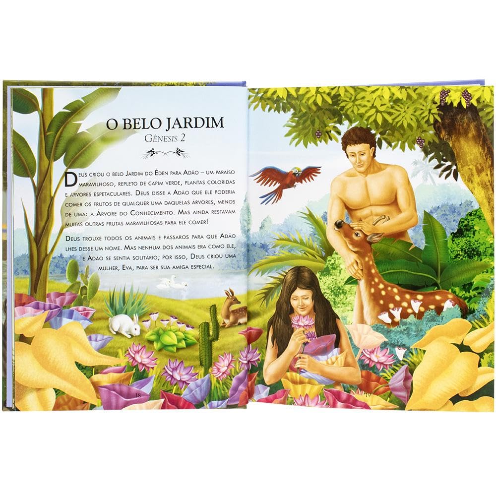 Bíblia Ilustrada da Família, A - Imagem 3