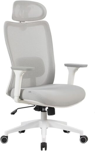 Cadeira Ergonômica Elements Astra Pro Cinza e Branca