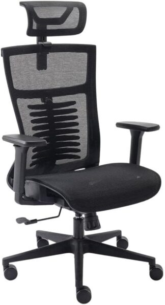 Elements Cadeira de Escritorio Ergonômica Vertta Pro com Apoio Lombar e Cabeça Respirável, Preta