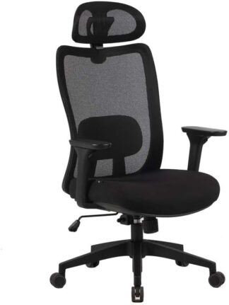 Elements Cadeira Ergonômica de Escritório Astra Pro com Apoio Lombar e Cabeça Ajustável, Preta